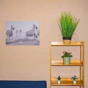 Appartement met een Slaapkamer